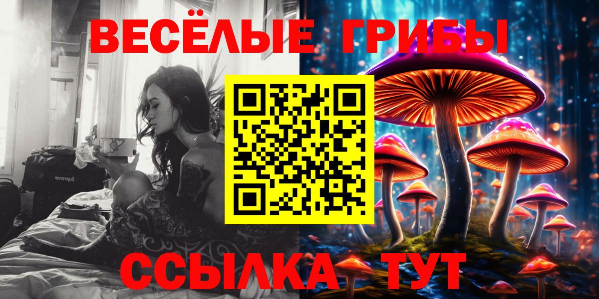 Галлюциногенные грибы Cubensis  Галлюциногенные грибы MAGIC MUSHROOMS  Подольск  Вход с VPN 